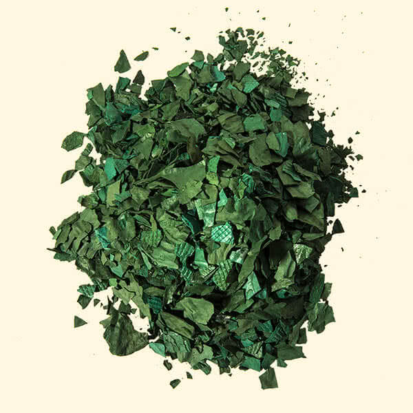 spirulina vendita on line